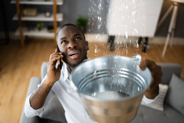 Best Local water damage restoration  in Plano, TX