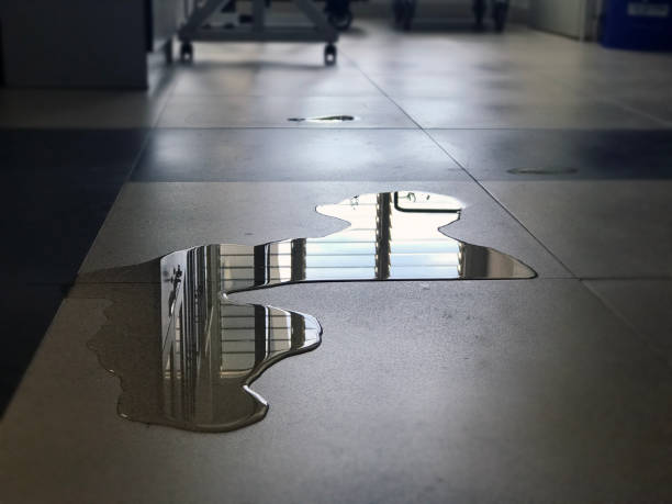 Best Commercial water damage restoration  in Plano, TX