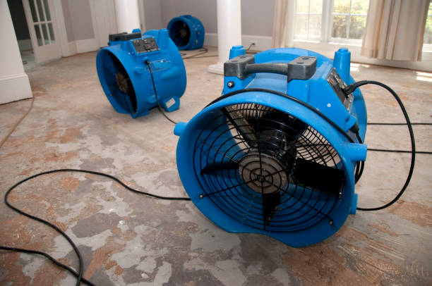 Best Emergency water damage restoration  in Plano, TX