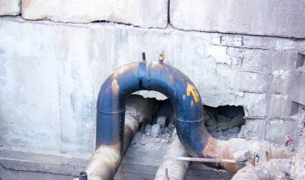 Best Water damage cleanup near me  in Plano, TX