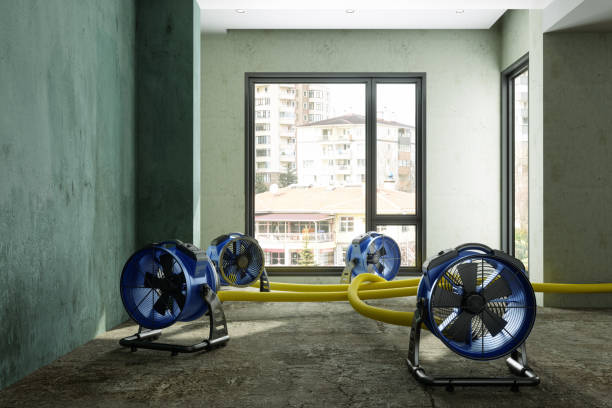 Best Sewage cleanup and water damage restoration  in Plano, TX